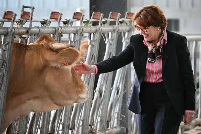 Sécheresse : des prêts à taux zéro annoncés pour les agriculteurs