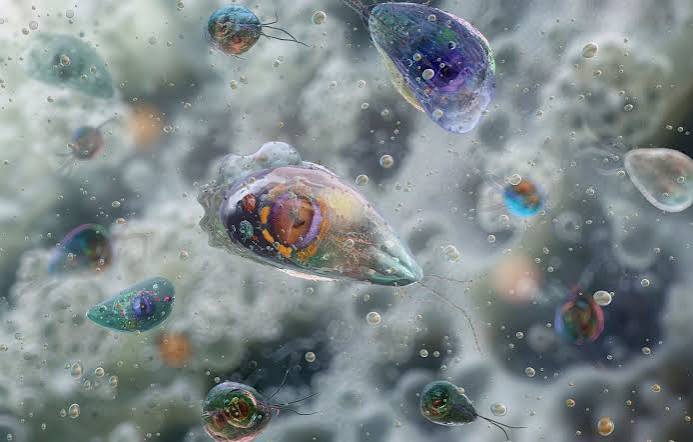 Micro-organismes observés au microscope, image d'illustration scientifique